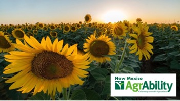 sunflowers with a sunset and NM AgrAbility logo