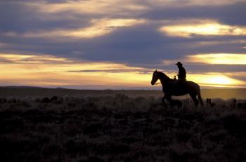 Image of rancher riding a horse at sunset